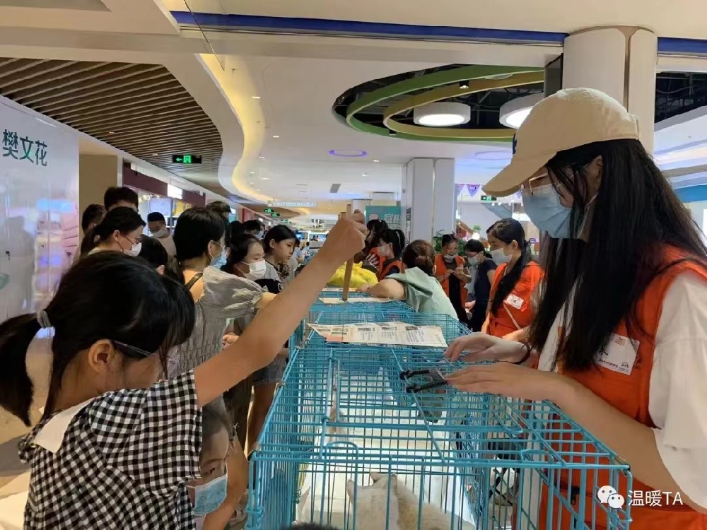 本周下社区爱心义卖领养活动